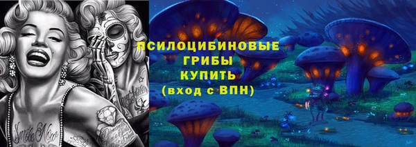 a pvp Володарск