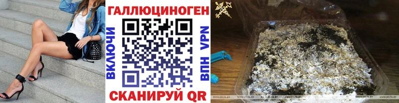 Псилоцибиновые грибы GOLDEN TEACHER  наркота  сайты даркнета наркотические препараты  Каргат 